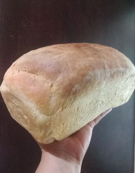 how to make Grandma’s Country White Bread